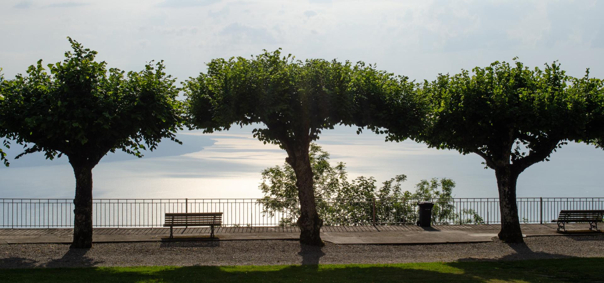 Terrasse des Caux Palastes mit Blick auf den Genfer See